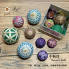 SP線 一磅 40/2